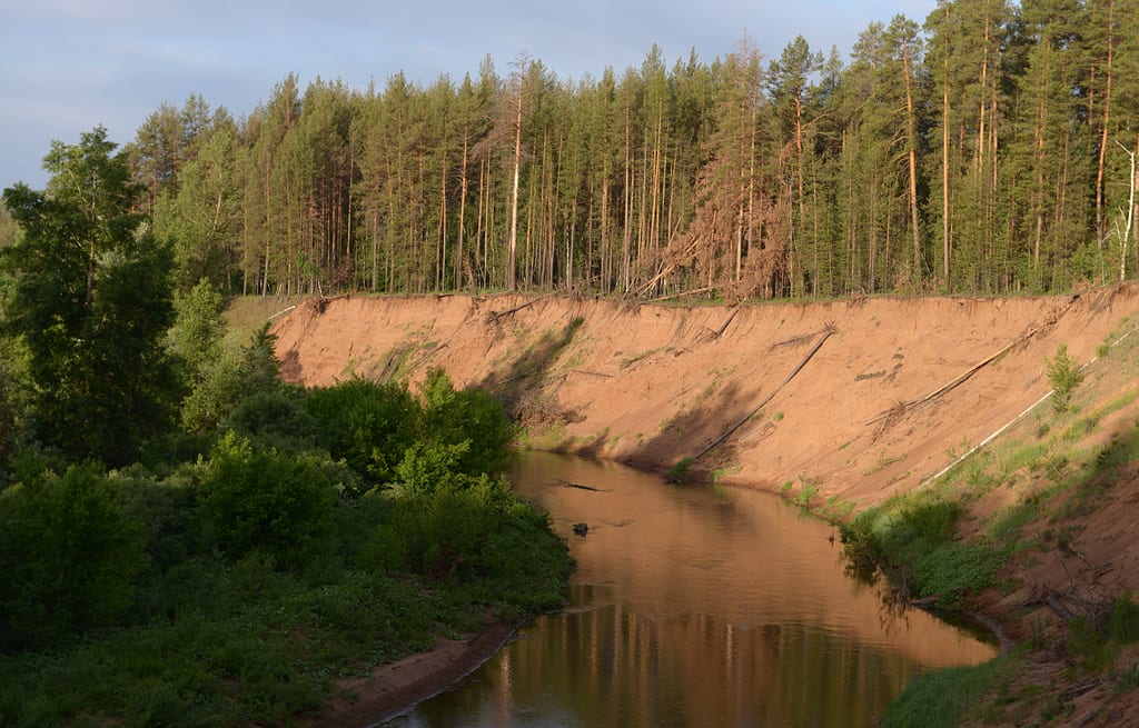 Национальный парк «Бузулукский бор» — фотография