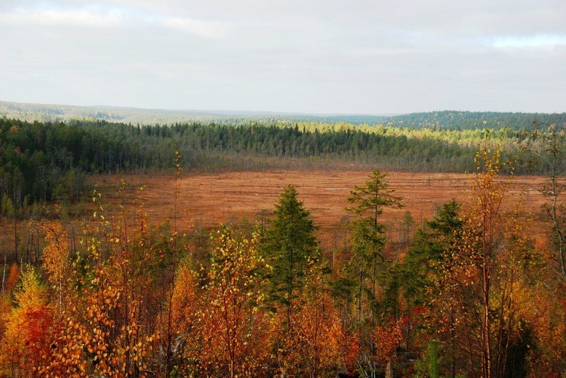 Костомукшский заповедник