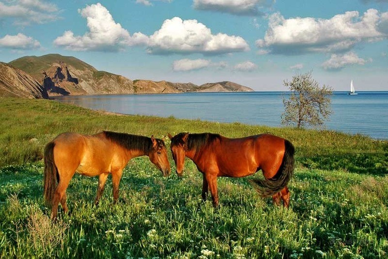 Казантипский заповедник