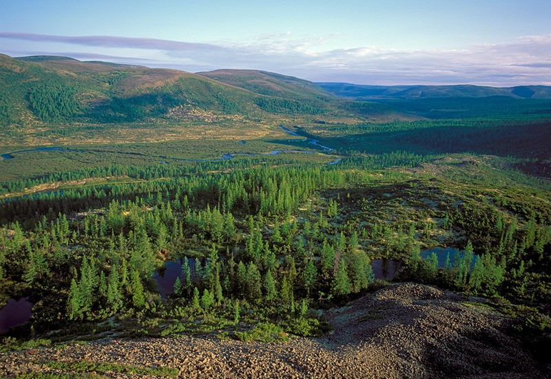 Усть-Ленский заповедник