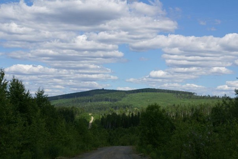Заповедник Денежкин Камень