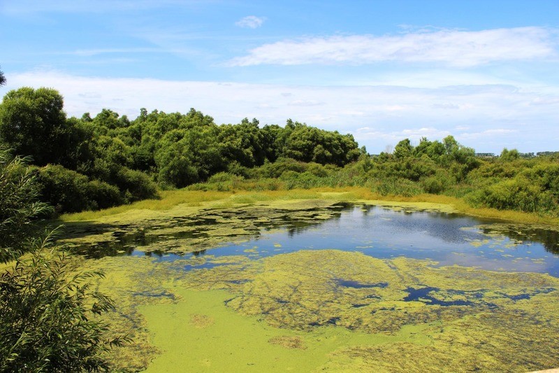 Воронинский заповедник
