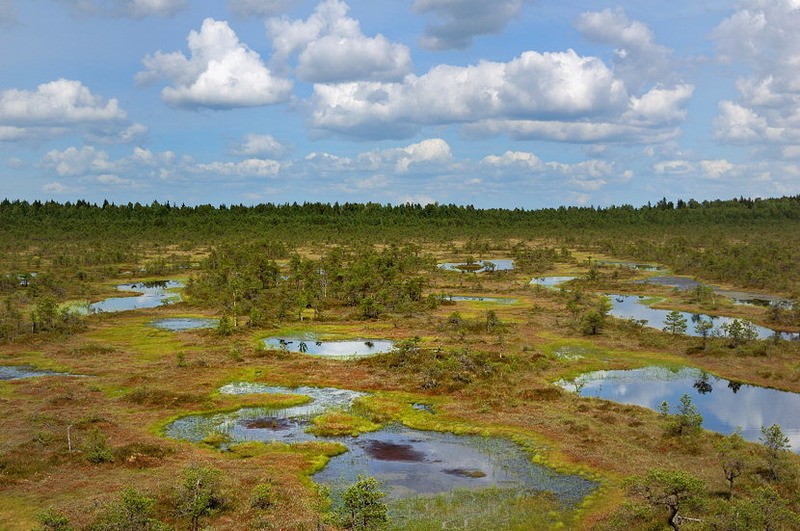 Рдейский заповедник