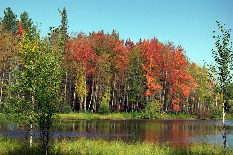 Юганский заповедник