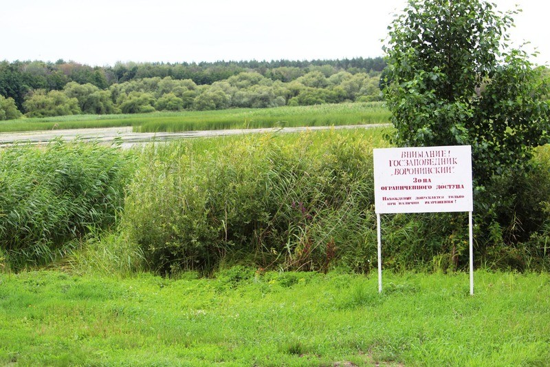 Воронинский заповедник